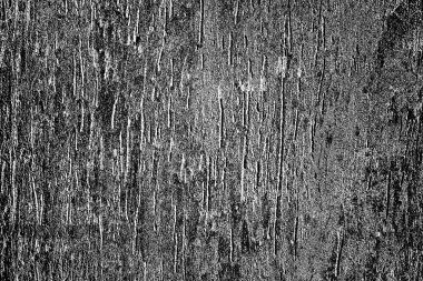 Soyut arkaplan. Monokrom dokusu. Siyah ve beyaz desenli arkaplan. 