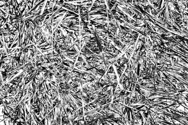 Soyut arkaplan. Monokrom dokusu. Siyah ve beyaz desenli arkaplan. 