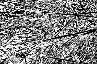 Soyut arkaplan. Monokrom dokusu. Siyah ve beyaz desenli arkaplan. 