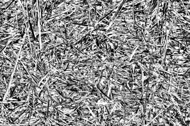 Soyut arkaplan. Monokrom dokusu. Siyah ve beyaz desenli arkaplan. 