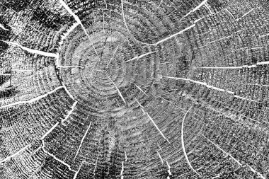 Soyut arkaplan. Monokrom dokusu. Siyah ve beyaz desenli arkaplan. 