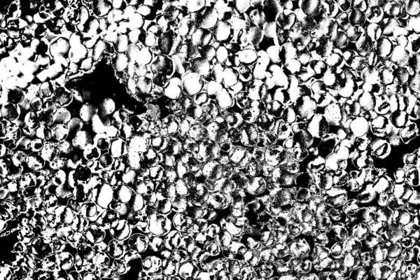 Abstract Background Monochrome Texture Black White Textured Background — Stock Photo, Image