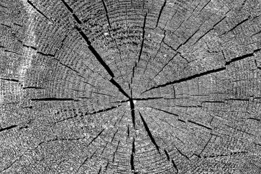 Soyut arkaplan. Monokrom dokusu. Siyah ve beyaz desenli arkaplan.  