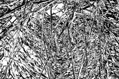 Soyut arkaplan. Monokrom dokusu. Siyah ve beyaz desenli arkaplan. 