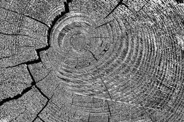 Soyut arkaplan. Monokrom dokusu. Siyah ve beyaz desenli arkaplan.  