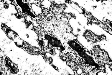 Soyut arkaplan. Monokrom dokusu. Siyah ve beyaz desenli arkaplan. 