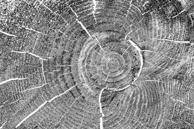 Soyut arkaplan. Monokrom dokusu. Siyah ve beyaz desenli arkaplan. 