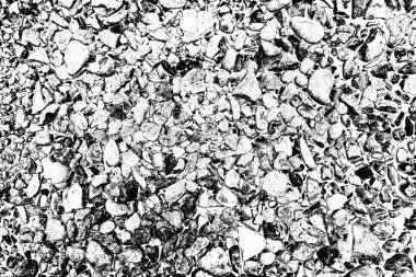 Soyut arkaplan. Monokrom dokusu. Siyah ve beyaz desenli arkaplan. 