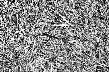 Soyut arkaplan. Monokrom dokusu. Siyah ve beyaz desenli arkaplan. 