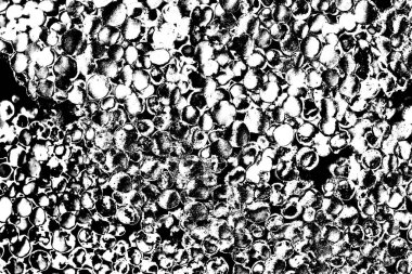 Soyut arkaplan. Monokrom dokusu. Siyah ve beyaz desenli arkaplan. 