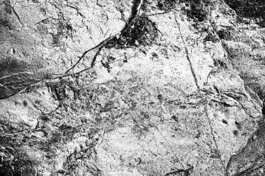 Arkaplan olarak kullanmak için duvarın resmi.