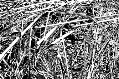 Soyut arkaplan. Monokrom dokusu. Siyah ve beyaz desenli arkaplan