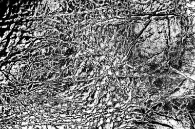 Deri arka plan. Kırmızı deri desen.