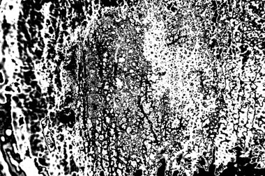 Soyut arkaplan. Monokrom dokusu. Siyah ve beyaz desenli arkaplan. 