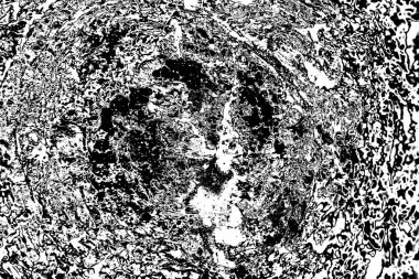 Soyut arkaplan. Monokrom dokusu. Siyah ve beyaz desenli arkaplan