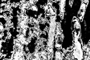 Soyut arkaplan. Monokrom dokusu. Siyah ve beyaz desenli arkaplan