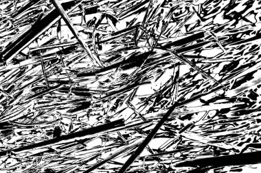 Soyut arkaplan. Monokrom dokusu. Siyah ve beyaz desenli arkaplan. 