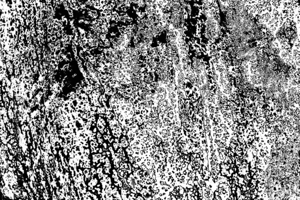 Fondo Abstracto Textura Monocromática Fondo Texturizado Blanco Negro —  Fotos de Stock