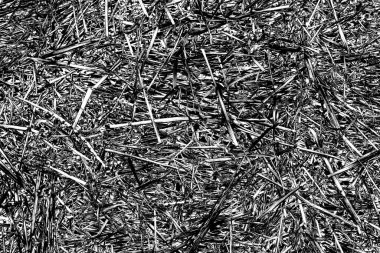 Soyut arkaplan. Monokrom dokusu. Siyah ve beyaz desenli arkaplan. 