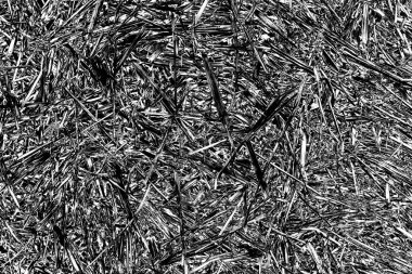 Soyut arkaplan. Monokrom dokusu. Siyah ve beyaz desenli arkaplan. 