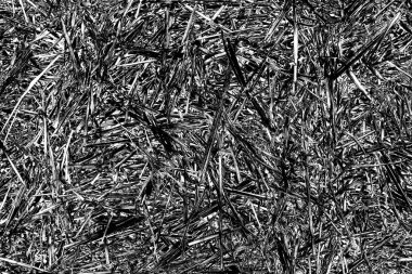 Soyut arkaplan. Monokrom dokusu. Siyah ve beyaz desenli arkaplan. 