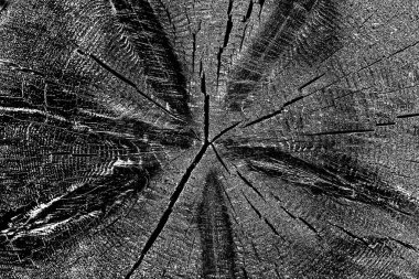 Soyut arkaplan. Monokrom dokusu. Siyah ve beyaz desenli arkaplan. 