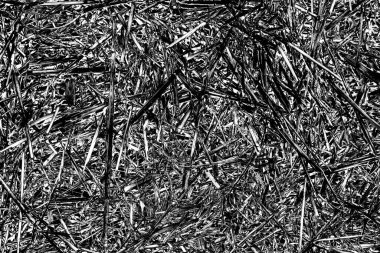 Soyut arkaplan. Monokrom dokusu. Siyah ve beyaz desenli arkaplan. 