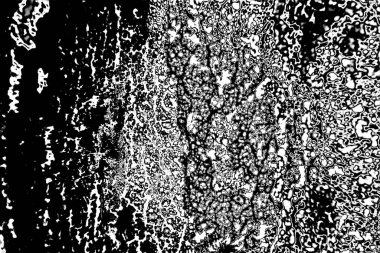 Soyut arkaplan. Monokrom dokusu. Siyah ve beyaz desenli arkaplan