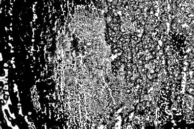 Soyut arkaplan. Monokrom dokusu. Siyah ve beyaz desenli arkaplan