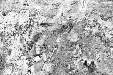 Soyut arkaplan. Monokrom dokusu. Siyah ve beyaz desenli arkaplan. 