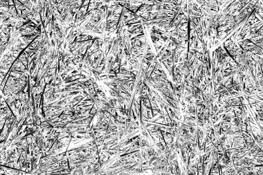 Soyut arkaplan. Monokrom dokusu. Siyah ve beyaz desenli arkaplan. 