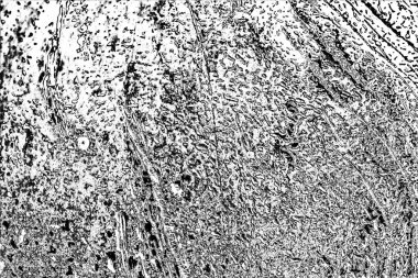 Soyut arkaplan. Monokrom dokusu. Siyah ve beyaz desenli arkaplan. 