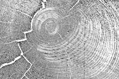 Soyut arkaplan. Monokrom dokusu. Siyah ve beyaz desenli arkaplan. 