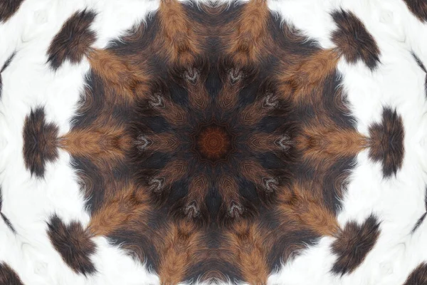 Abstrakt Kaleidoskopbakgrunn Multikolorkaleidoskopstruktur – stockfoto