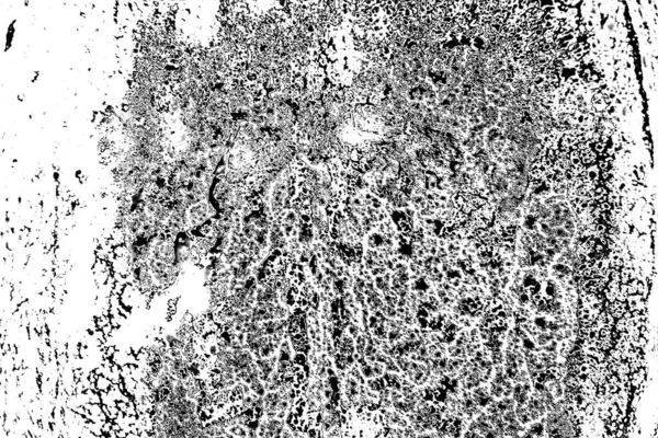 Soyut arkaplan. Monokrom dokusu. Siyah ve beyaz desenli arkaplan. 