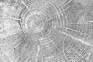 Soyut arkaplan. Monokrom dokusu. Siyah ve beyaz desenli arkaplan. 