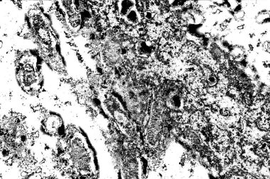 Soyut arkaplan. Monokrom dokusu. Siyah ve beyaz desenli arkaplan. 
