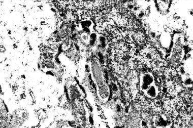 Soyut arkaplan. Monokrom dokusu. Siyah ve beyaz desenli arkaplan. 