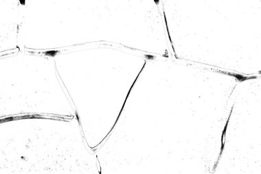 Arkaplan olarak kullanmak için duvarın resmi.