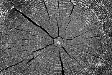 Ahşap desen yakın plan görünümü