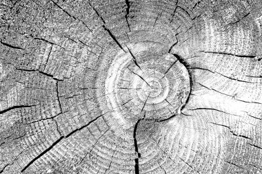 Soyut arkaplan. Monokrom dokusu. Siyah ve beyaz desenli arkaplan. 