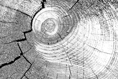 Soyut arkaplan. Monokrom dokusu. Siyah ve beyaz desenli arkaplan. 