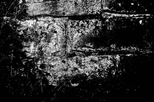 Abstraktní Pozadí Monochromní Textura Černobílé Texturované Pozadí — Stock fotografie