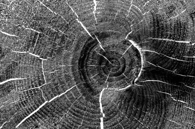 Soyut arkaplan. Monokrom dokusu. Siyah ve beyaz desenli arkaplan. 