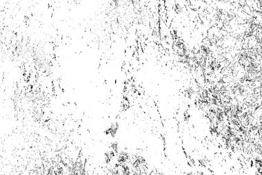 Domuzun kanı çimlerin üzerinde.