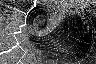 Soyut arkaplan. Monokrom dokusu. Siyah ve beyaz desenli arkaplan. 