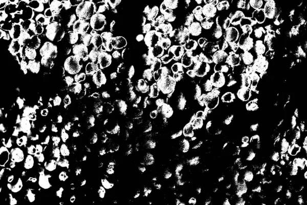 Abstract Background Monochrome Texture Black White Textured Background — Stock Photo, Image