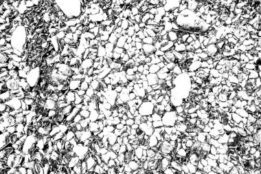 Soyut arkaplan. Monokrom dokusu. Siyah ve beyaz desenli arkaplan. 