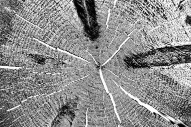 Soyut arkaplan. Monokrom dokusu. Siyah ve beyaz desenli arkaplan. 