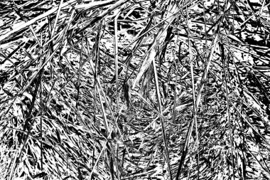 Soyut arkaplan. Monokrom dokusu. Siyah ve beyaz desenli arkaplan. 